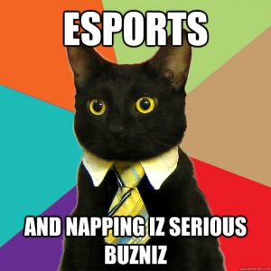 esports-cat